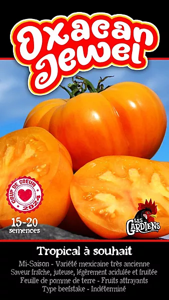 Semences de tomates Oxacan jewel