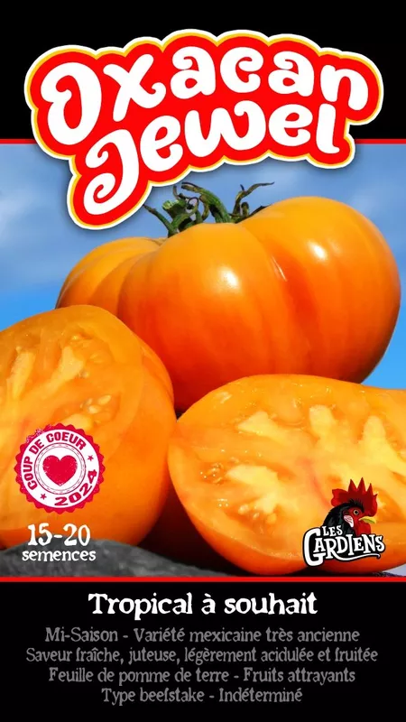 Semences de tomates Oxacan jewel