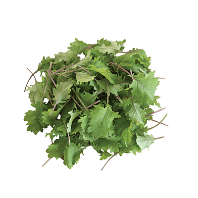 Red Russian Kale (Brassica napus)