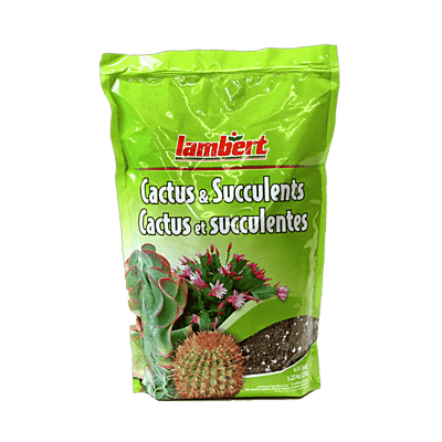 Lambert Cactus & Succulents Soil - 4.4L / 1.25 kg
