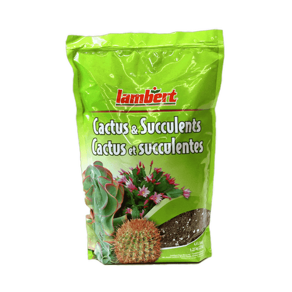 Lambert Cactus & Succulents Soil - 4.4L / 1.25 kg
