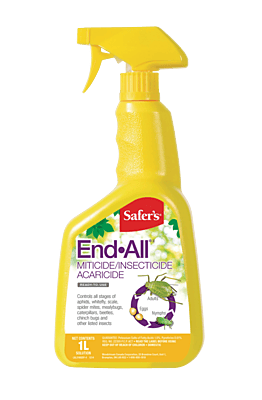 Safer's End-All - 1L