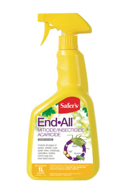 Safer's End-All - 1L