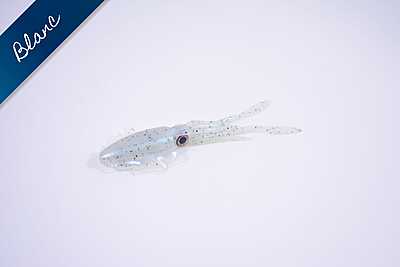 -Glow Squid "Fat Pat" MDP -Glow Squid "Fat Pat" MDP