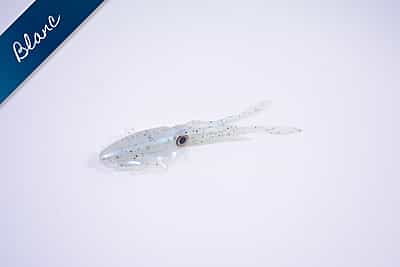 -Glow Squid "Fat Pat" MDP -Glow Squid "Fat Pat" MDP