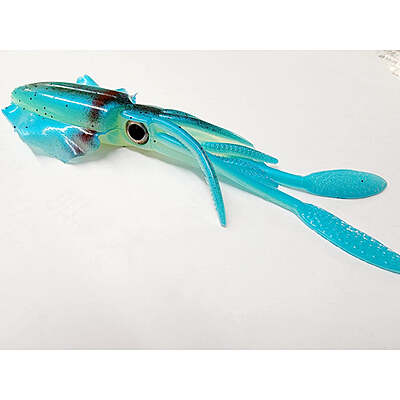 -Glow Squid "Fat Pat" MDP -Glow Squid "Fat Pat" MDP