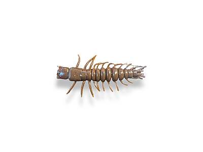 -Hellgramite MDP, 12/paquet -Hellgramite MDP, 12/paquet