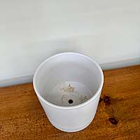 Romey Pot - 7.25" x 7" - White