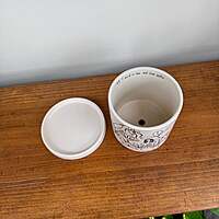 Plant Lady Pot - 4.75" x 4.75"