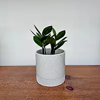 Downy Pot - 4.5" x 4.5"
