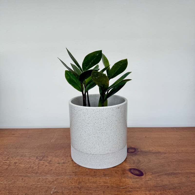 Downy Pot - 4.5" x 4.5"