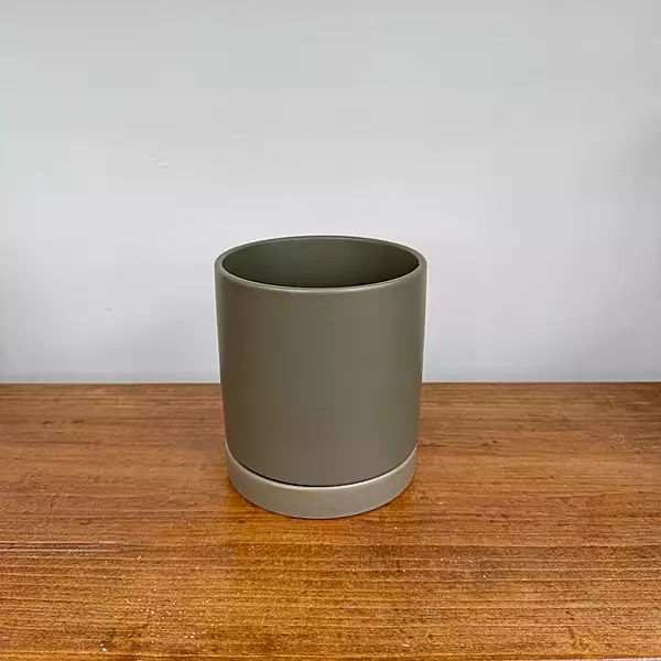 Romey Neutral Pot with Saucer - 5"x 5.75" - Moss