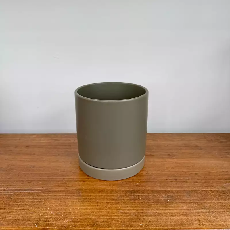 Romey Neutral Pot with Saucer - 5"x 5.75" - Moss
