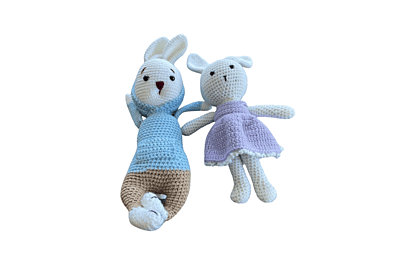 Crochet Bunny Siblings