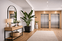 Oiseau du paradis – Pot carré noir Fiberstone (6 pieds)