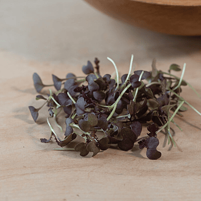 Mizuna ‘Miz America’ (Brassica rapa var. nipposinica ‘Miz America’)