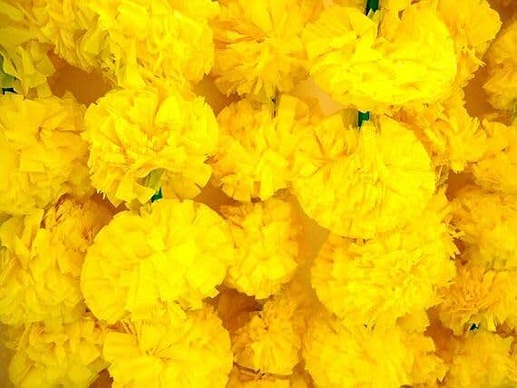 Artificial Marigold Flowers for Decoration Long Marigold Garlands for Decoration Toran Indian genda phool for Wedding & Festivals