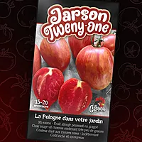Semences de tomates Jarson twenty one