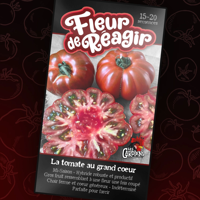 Semences de tomates Fleur de réagir