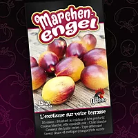 Semences de tomates Marchen engel