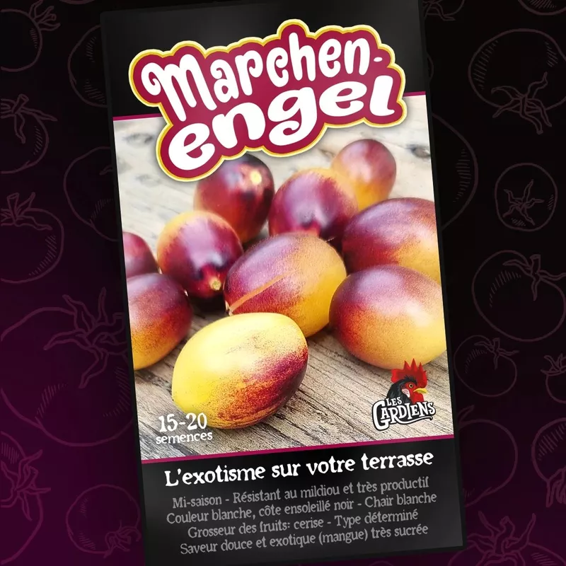 Semences de tomates Marchen engel