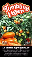 Semences de tomates Tumbling tiger