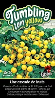 Semences de tomates Tumbling tom yellow