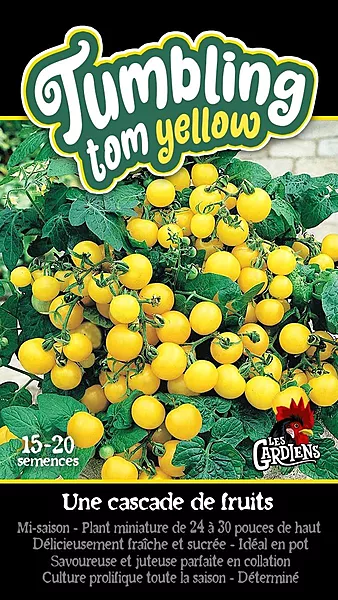 Semences de tomates Tumbling tom yellow