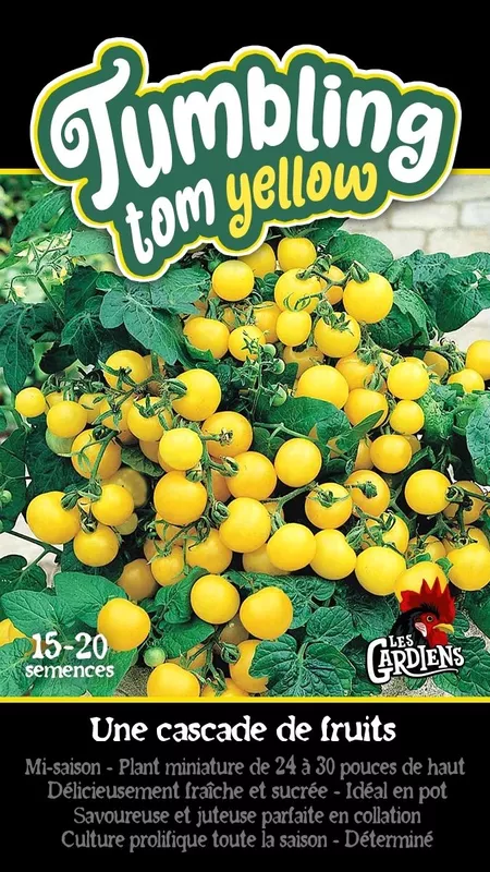 Semences de tomates Tumbling tom yellow