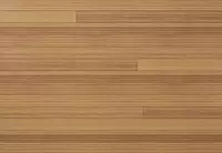 Départ VESTA 10' - Grain de bois