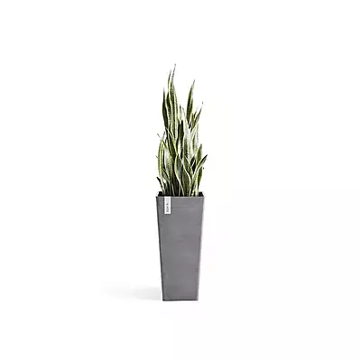 Rotterdam High 70 Grey