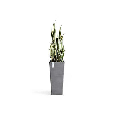 Rotterdam High 70 Grey
