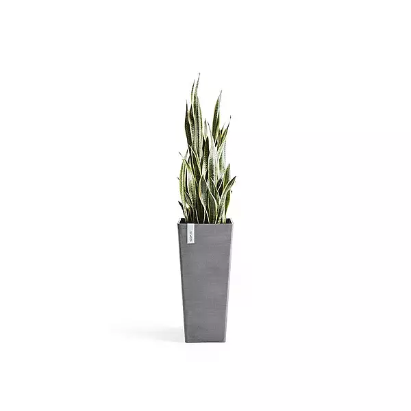 Rotterdam High 70 Grey