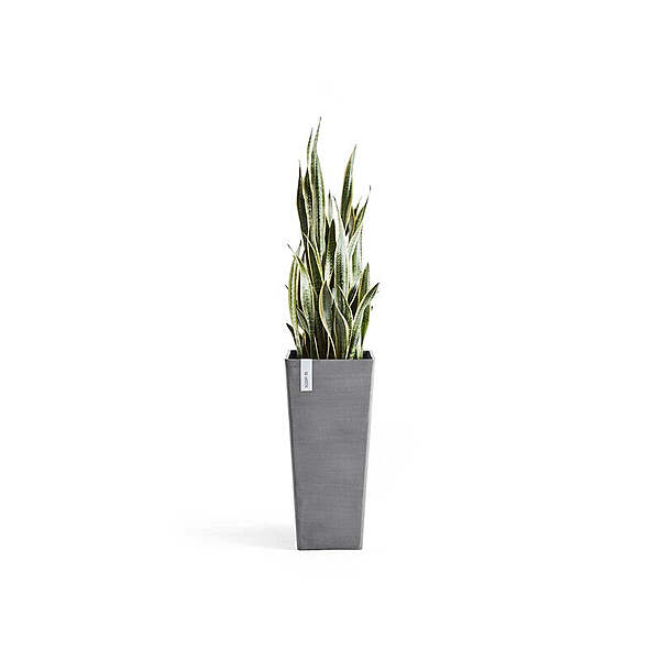 Rotterdam High 70 Grey