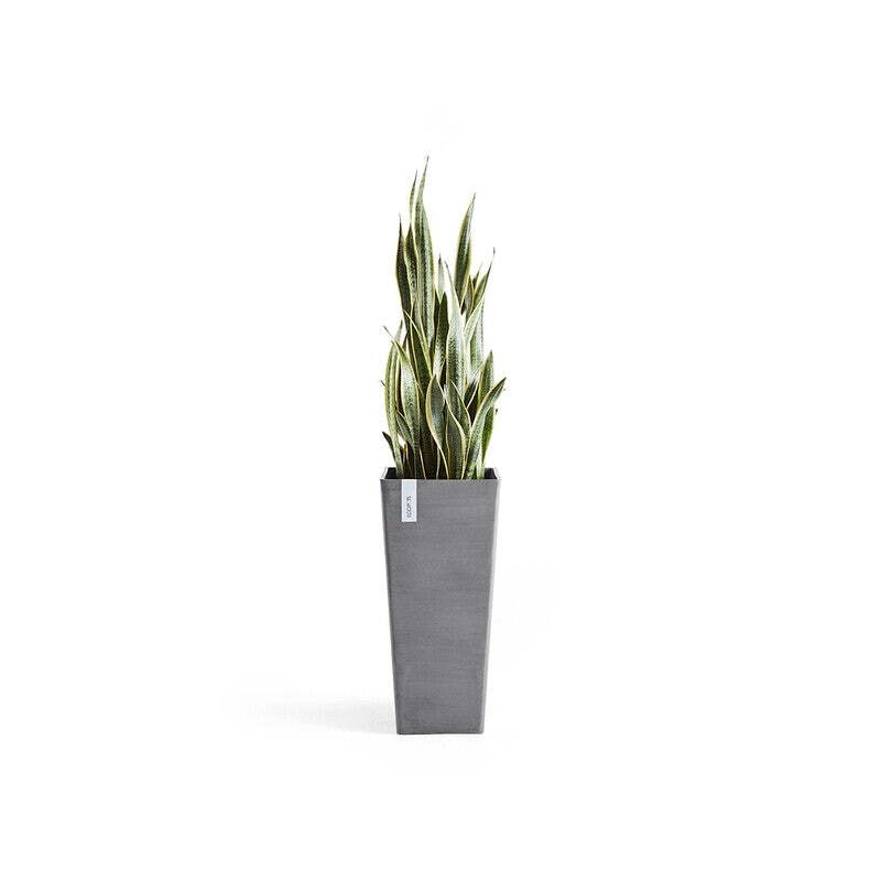 Rotterdam High 70 Grey