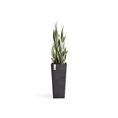 Rotterdam High 70 Dark Grey