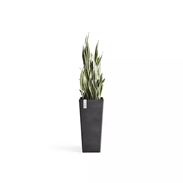 Rotterdam High 70 Dark Grey