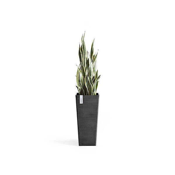 Rotterdam High 70 Dark Grey