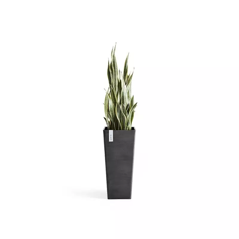 Rotterdam High 70 Dark Grey