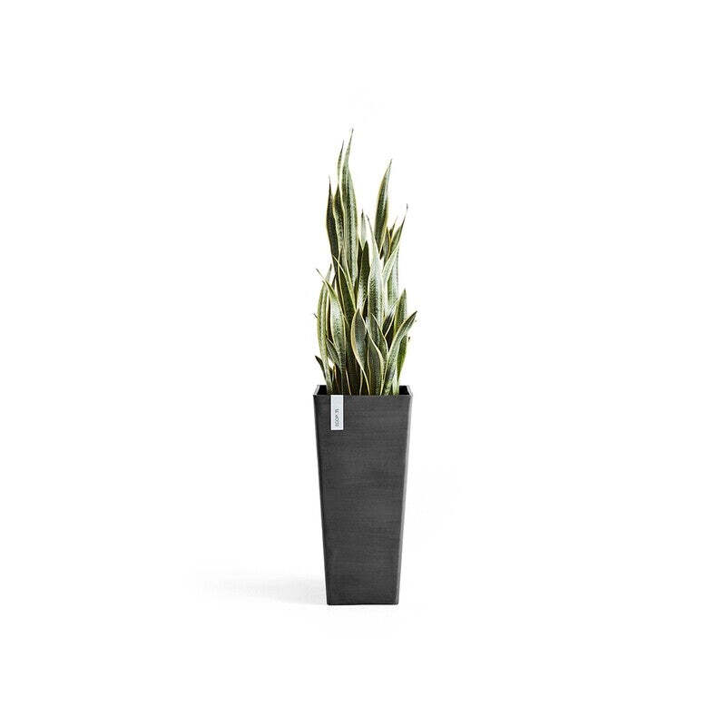 Rotterdam High 70 Dark Grey