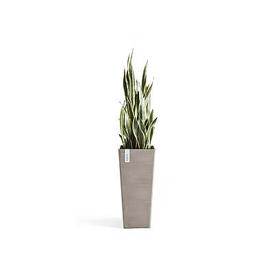 Rotterdam High 70 Taupe