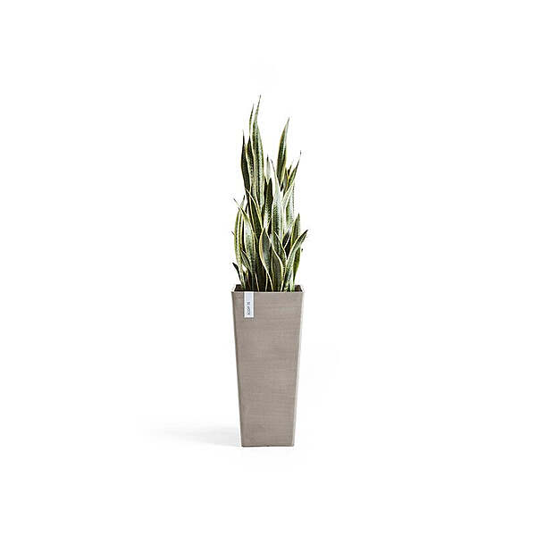 Rotterdam High 70 Taupe
