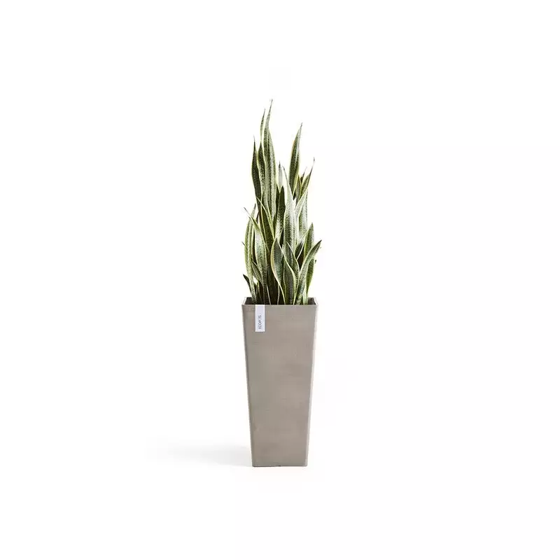 Rotterdam High 70 Taupe
