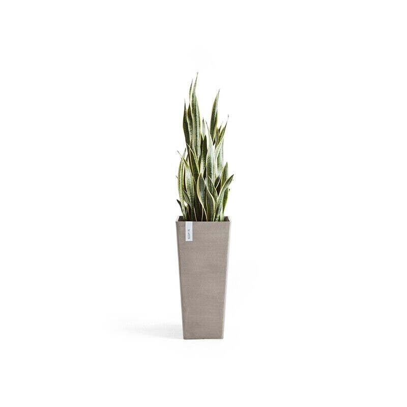 Rotterdam High 70 Taupe