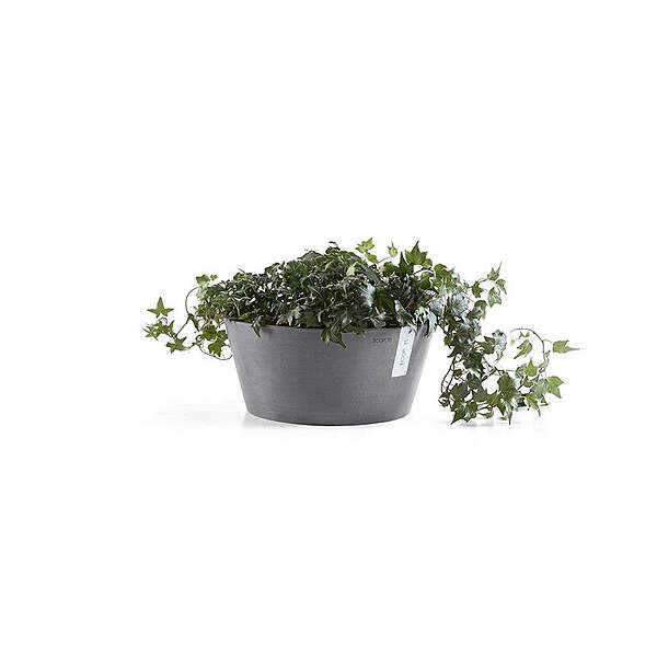 Frankfurt 30 Grey
