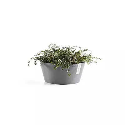 Frankfurt 40 Grey