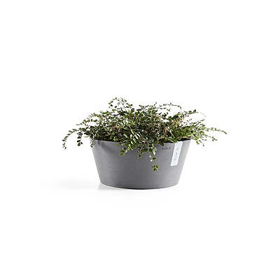 Frankfurt 40 Grey