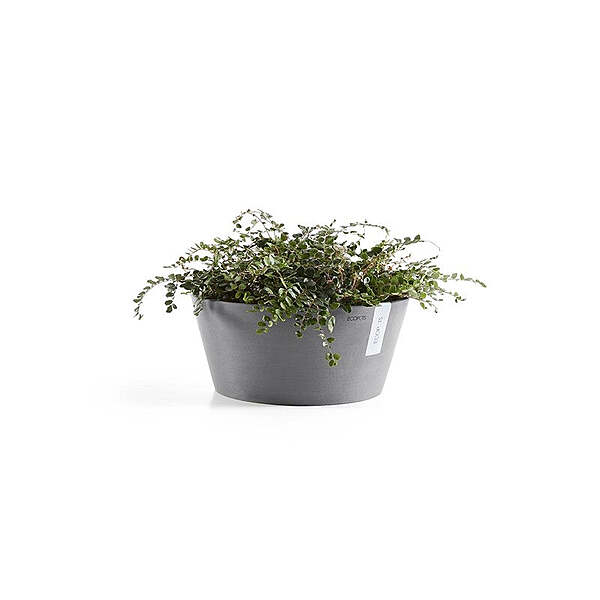 Frankfurt 40 Grey