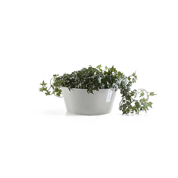 Frankfurt 30 White Grey