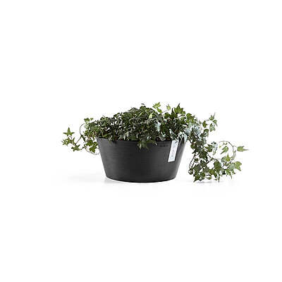 Frankfurt 30 Dark Grey